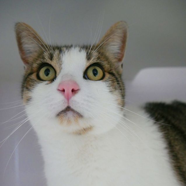 Photo of Arnold Sua009969