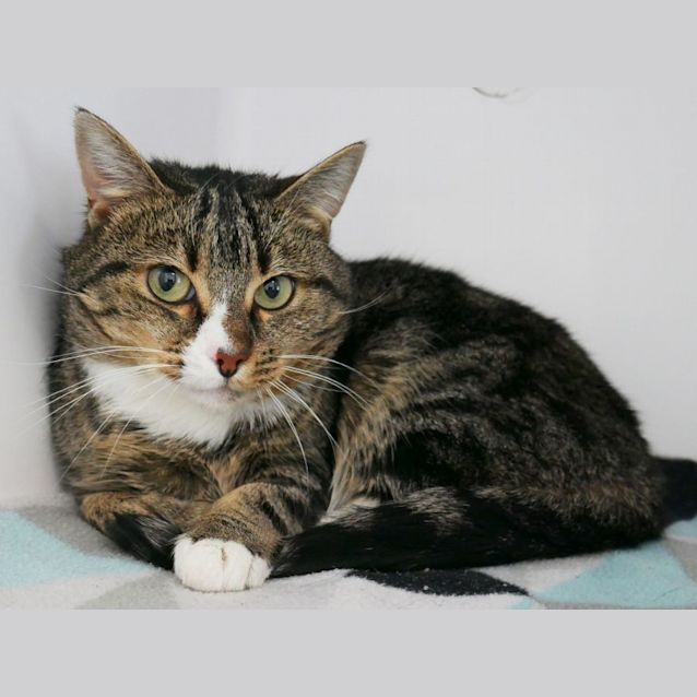 Photo of Astro Sua009904