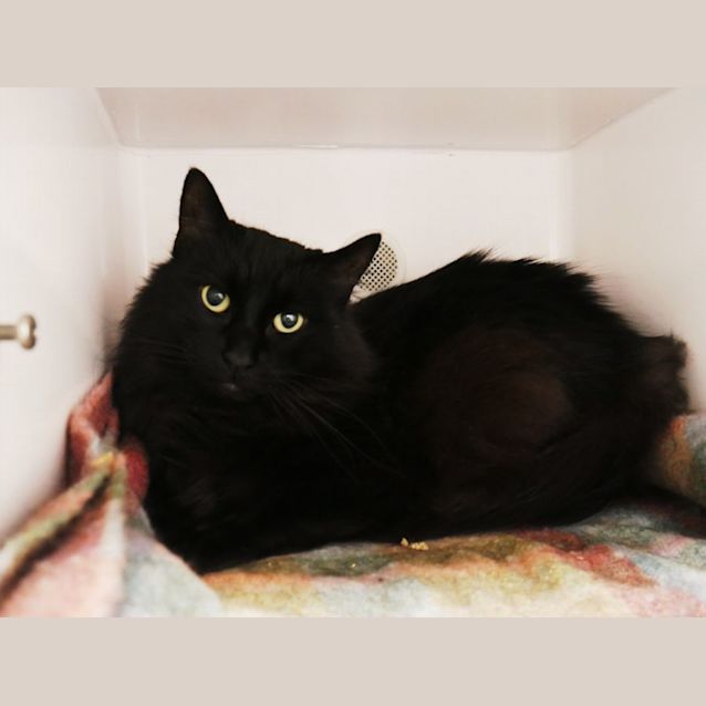 Photo of Hamish Sua009939