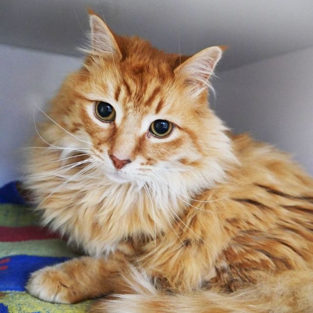 Photo of Sebastian Sua009957