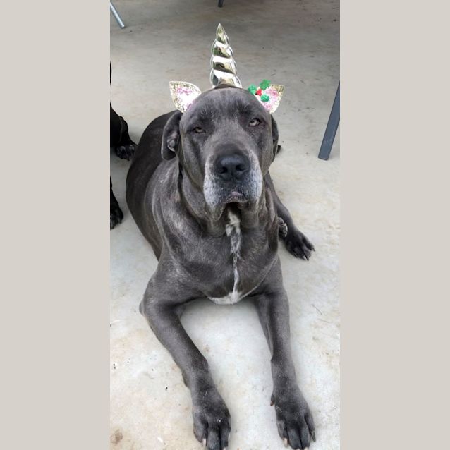 Photo of Neo And Maddie