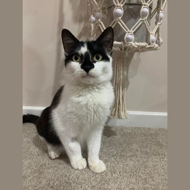 Photo of Popeye