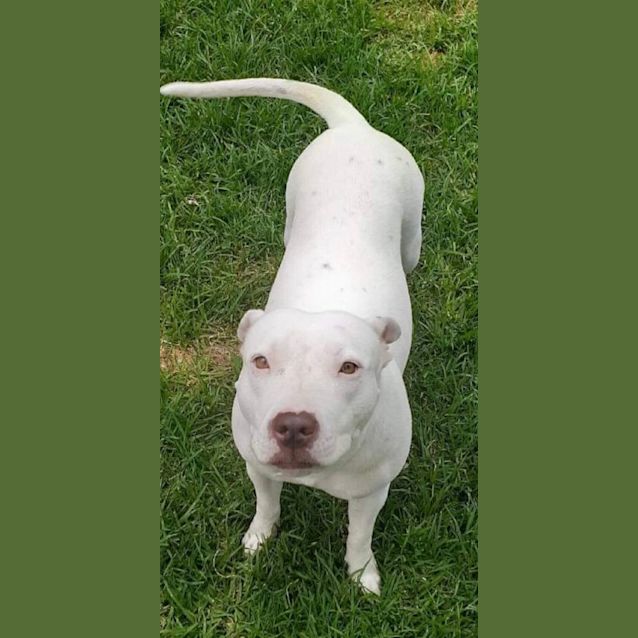 Photo of Princess 