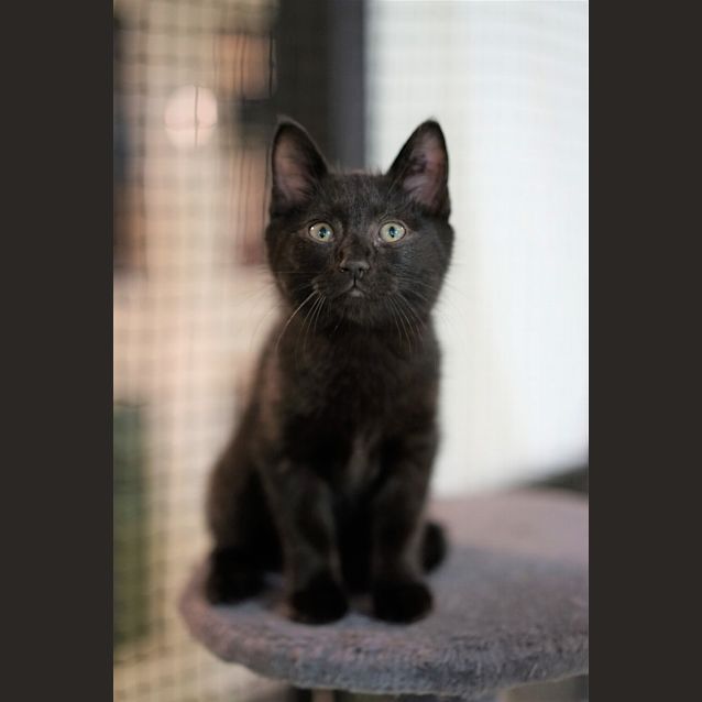 Photo of Denzel