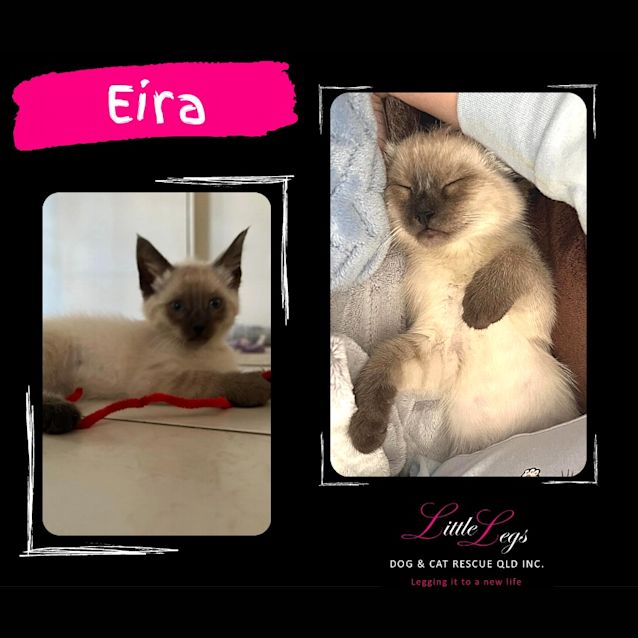 Photo of Eira