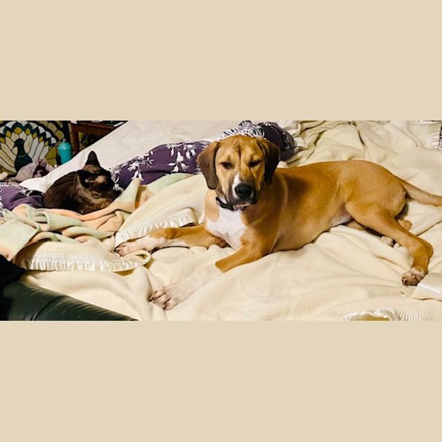 Photo of Luna Kahuna
