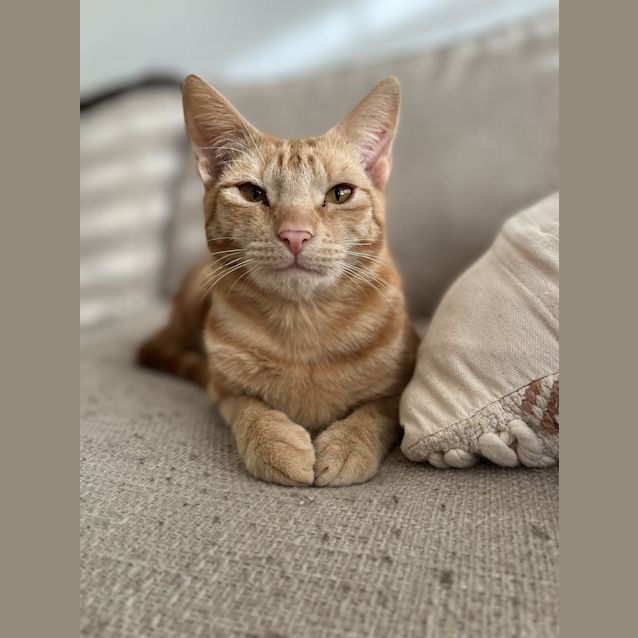 Photo of Drax