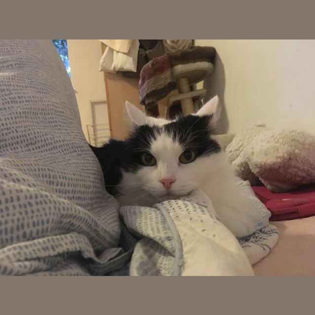 Photo of Simone   Located In Brunswick