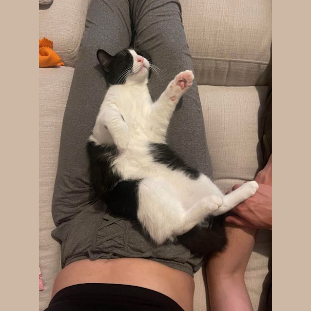 Photo of Bruce Wayne