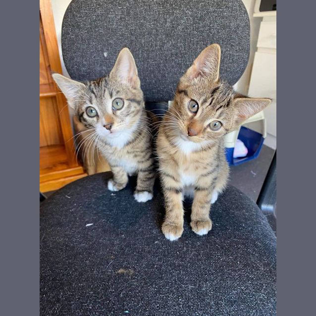 Photo of Sailor And Skipper 💙💙