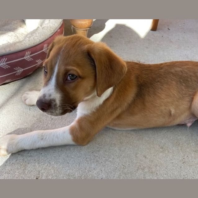 Photo of D766 Hans Solo