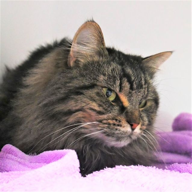 Photo of Luna Sua010022