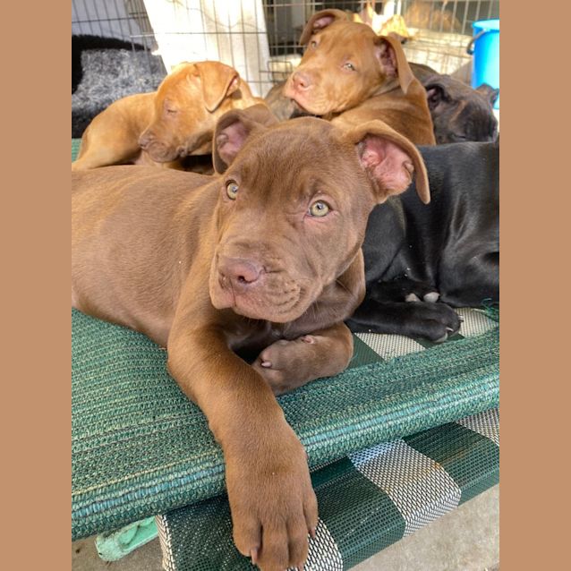 Photo of D771 Kaylah