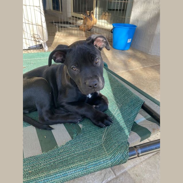 Photo of D772 Claude