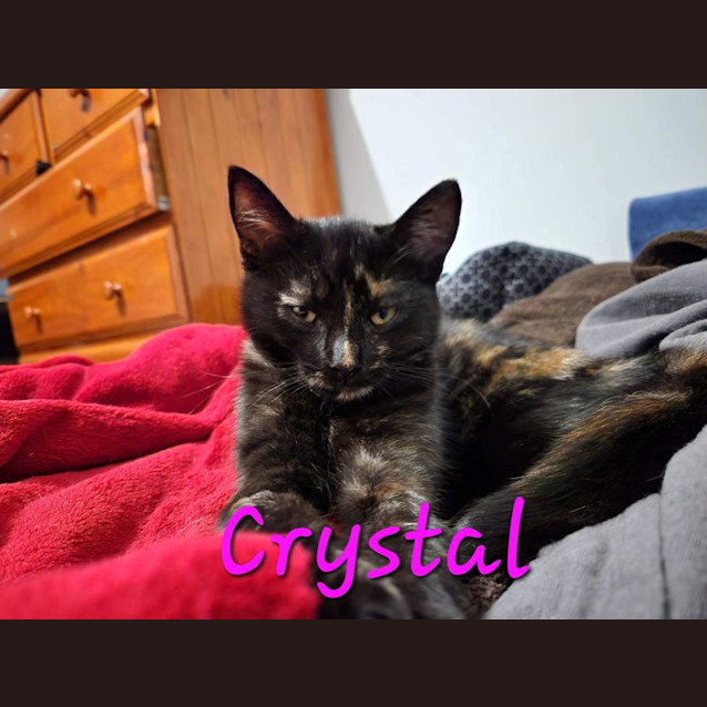 Photo of Crystal