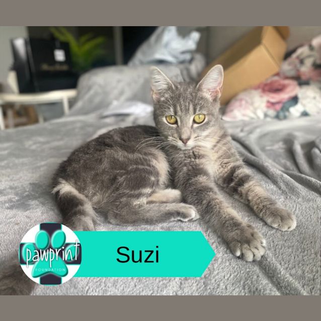 Photo of Detective Suzi Mittens