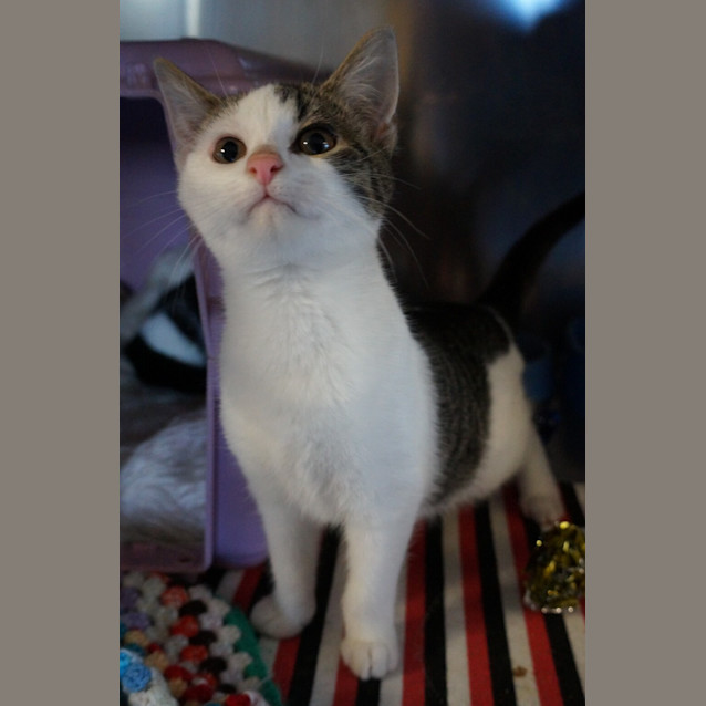 Photo of Valentine Now Bandit