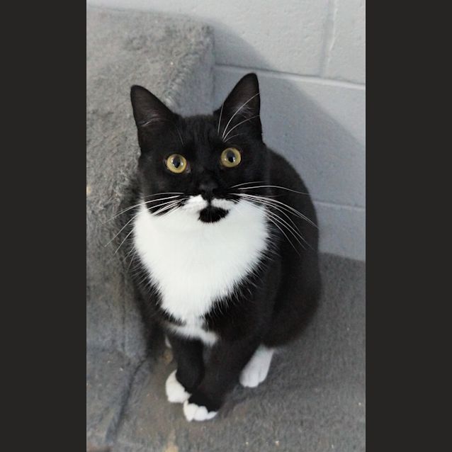 Photo of Fleur