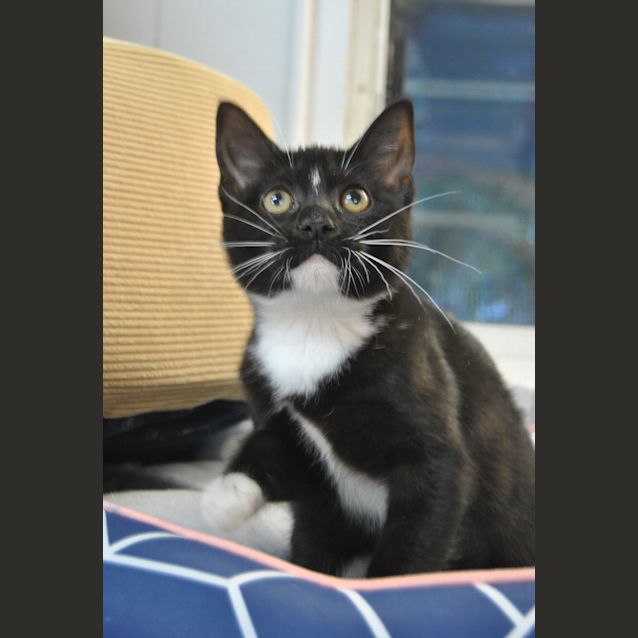 Photo of Elwood