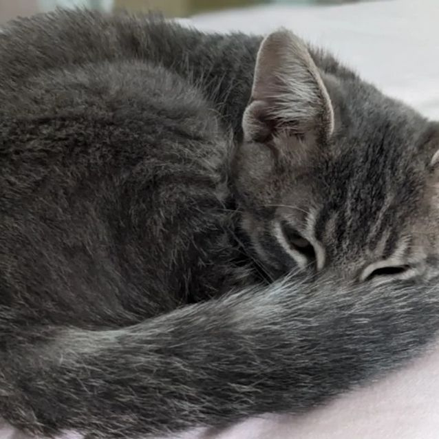 Photo of Gammy 💜💙