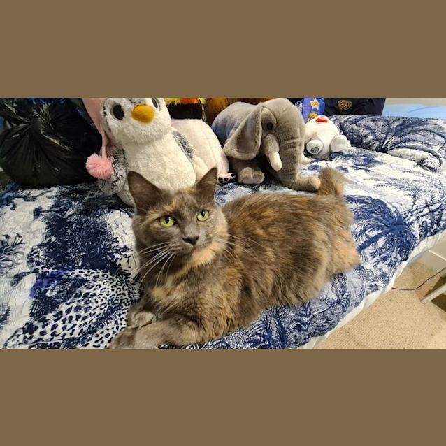 Photo of Molly