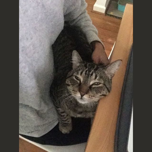 Photo of Theo