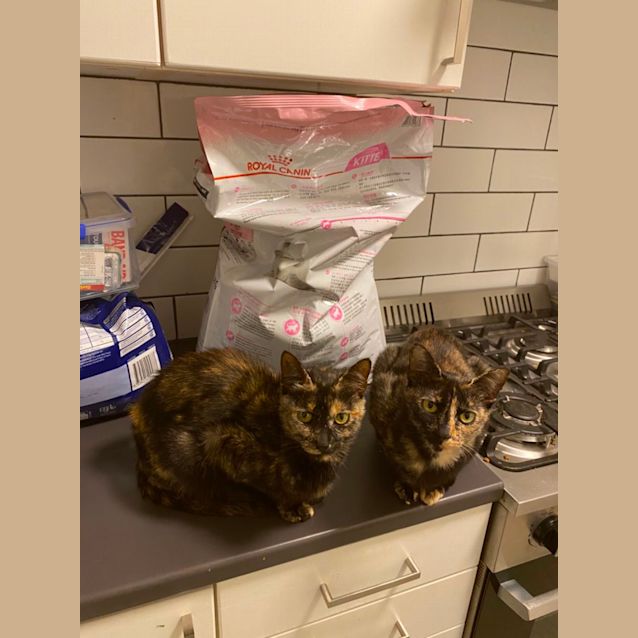 Photo of Lavender & Pepper 