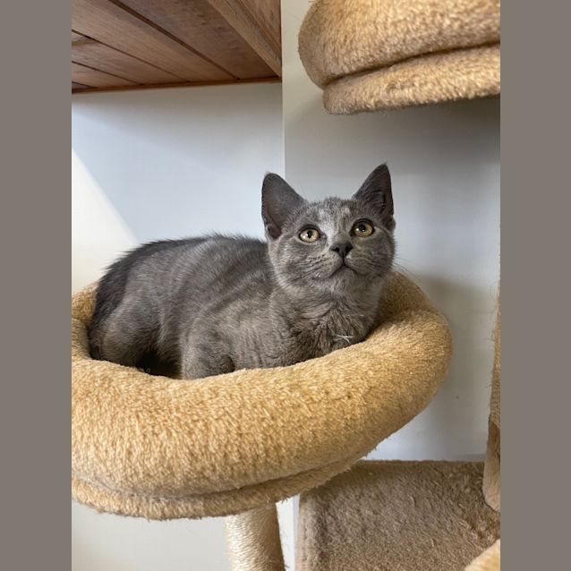 Photo of Klaus