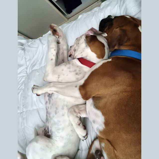 Photo of Rory And Dakota