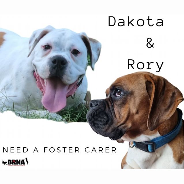 Photo of Rory And Dakota