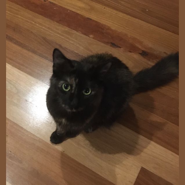 Photo of Lily Lovebug