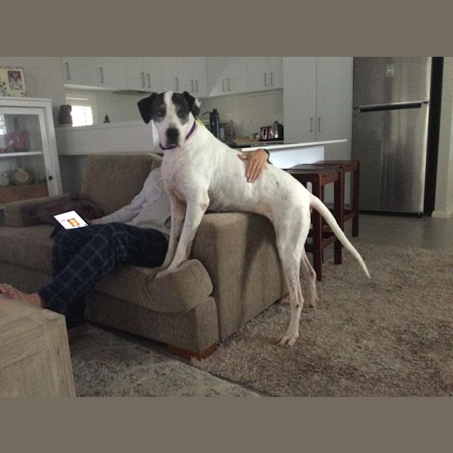 Photo of Lulu Dl2869