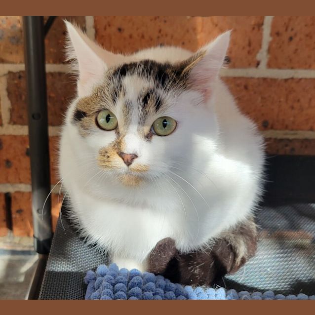 Photo of Louie