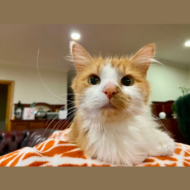 Photo of Twiggy Aka Twigs 