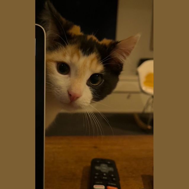 Photo of Birdie And Beanie