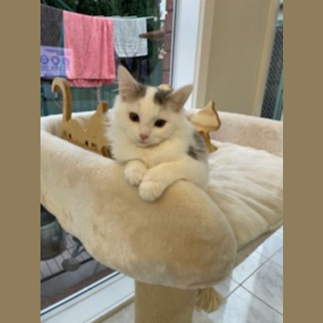 Photo of Elsa