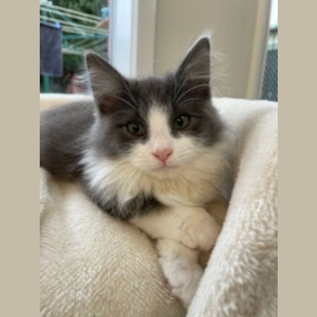 Photo of Alvin
