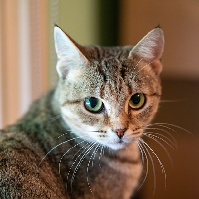 Photo of Fizzy