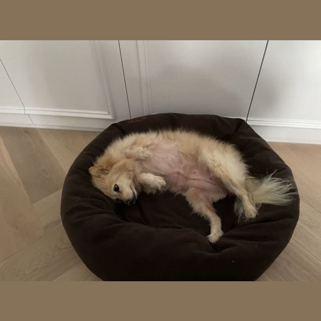 Photo of Ruby Aylesbury