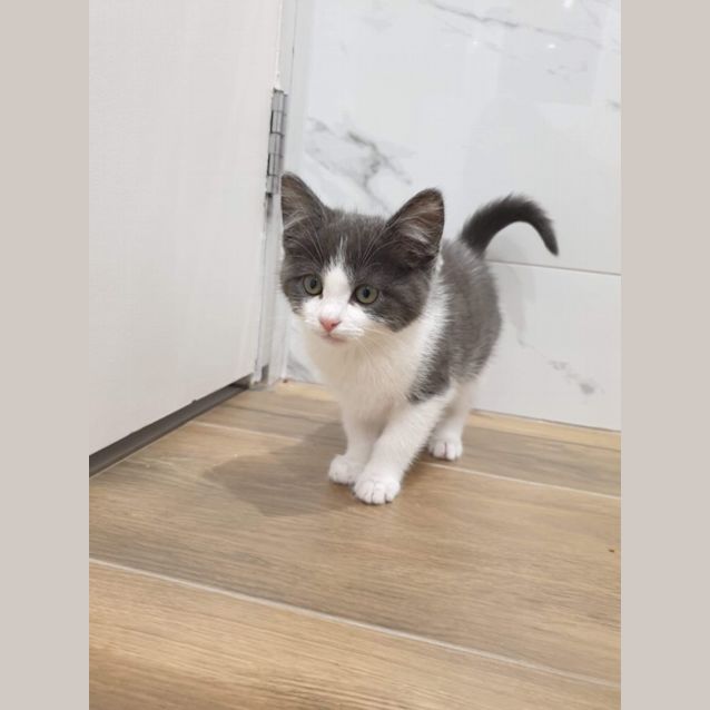 Photo of Jewel & Jemma