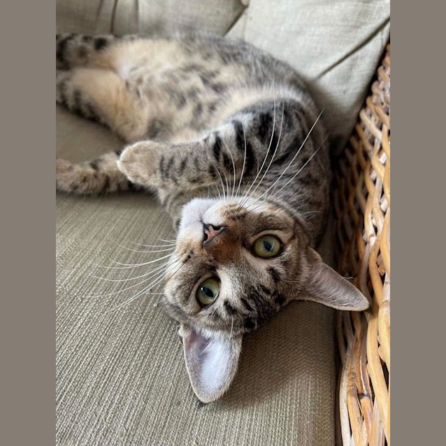 Photo of Jasmine 