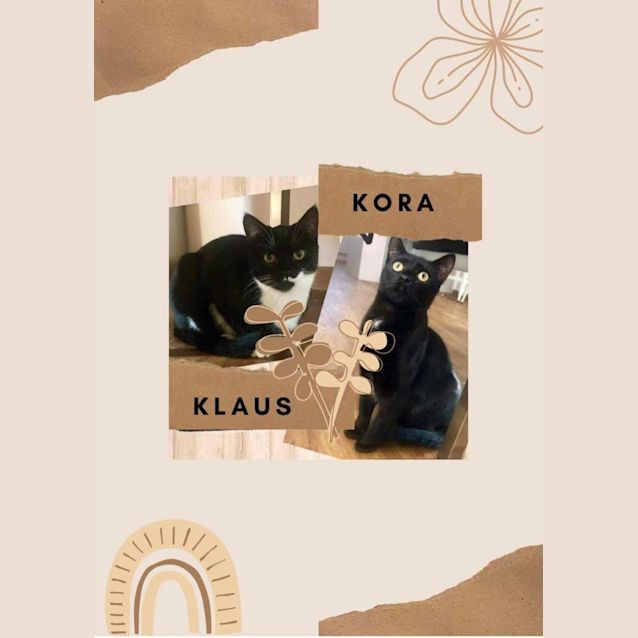 Photo of Klaus & Kora 