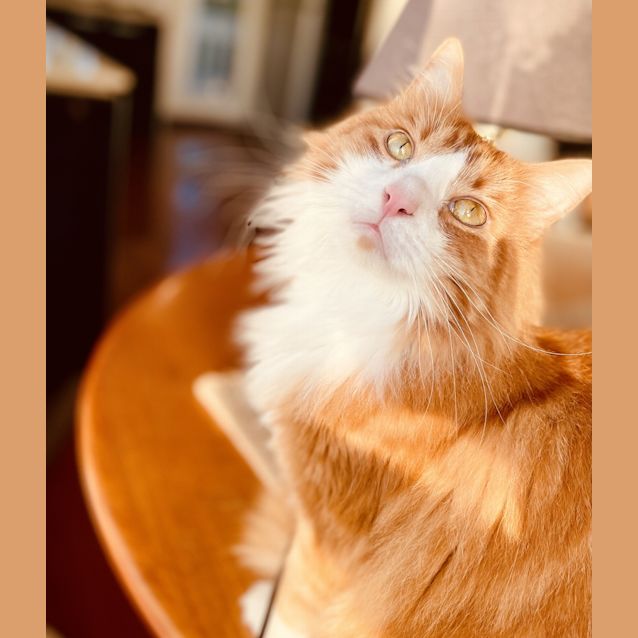 Photo of Gus