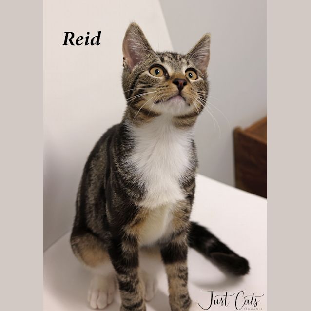 Photo of Reid