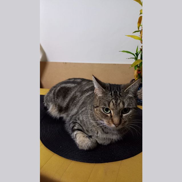 Photo of Jenny