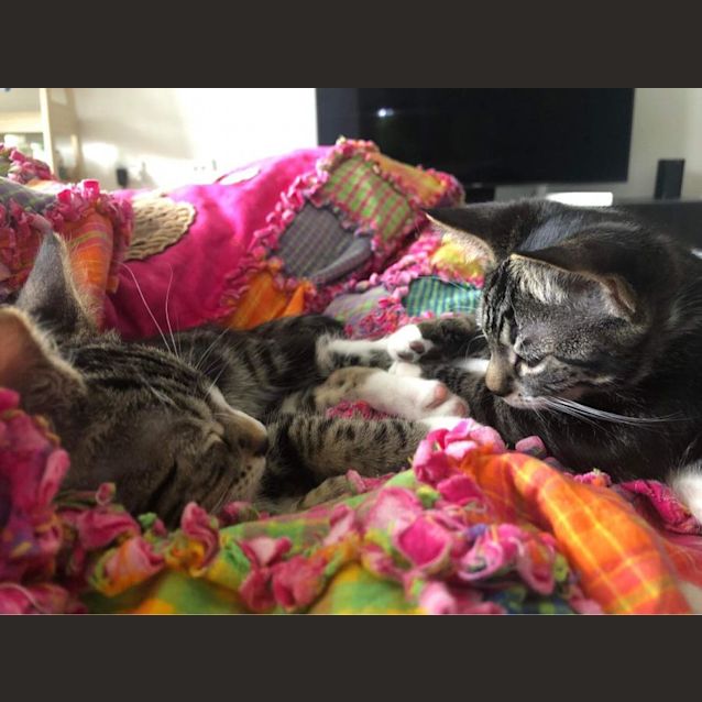 Photo of Chester And Columbus 