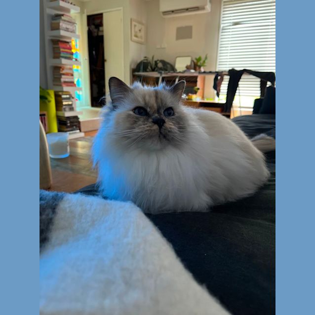 Photo of Millie