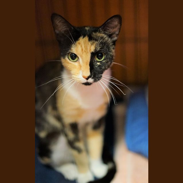 Photo of Candy