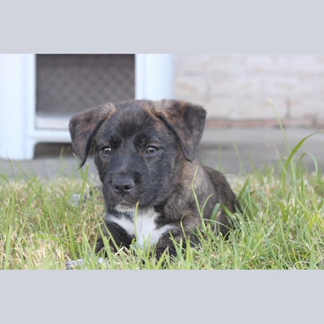 Photo of Lulu