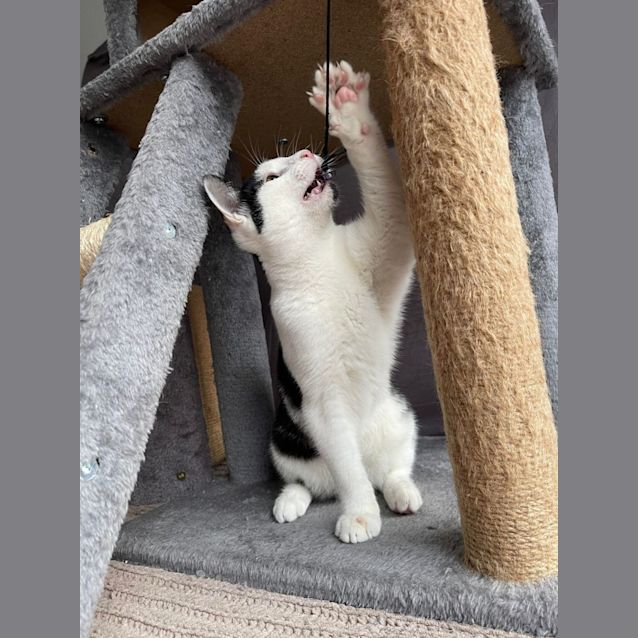 Photo of Lou Lou   Located In Brunswick West